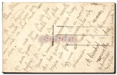 Kwiaty — fiolety i lilie polowe — Suzy 600 — Rewers