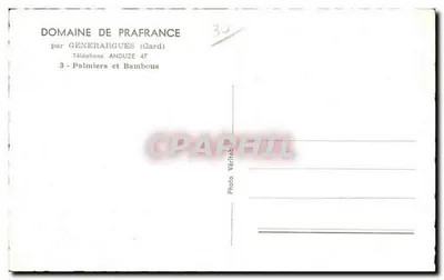 Bamboebos — Domaine de Prafrance, Générargues (Gard) — Achterkant