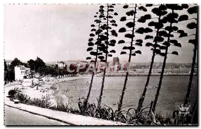 गोल्फ-जुआन - प्लेज़ - मॉंटलूएत एडिशन, निस