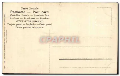 Arranjo de dahlias — editor Martin Kommer & Co., Stuttgart — n° 302 — Verso