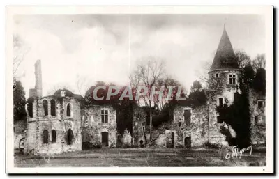 Ruínas do Castelo Real de Vivier — Fontenay-Tresigny — Ed. E. Mignon, n° 3076