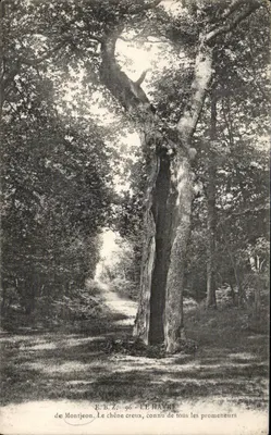 A árvore oca de Montjeon — LE HAVRE — E.B.Z. 96