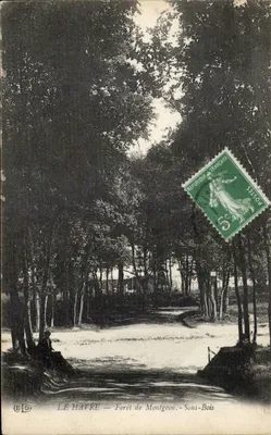 Le Havre — Floresta de Montigeon. — Subfloresta