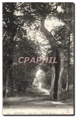Le Havre — Sob Bois — Floresta de Montgeon — LL. n° 310