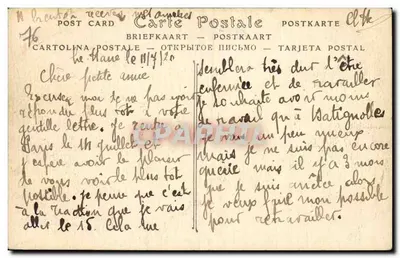 Floresta de Montgeon, Pinheirais — Le Havre — ND Phot. — Verso