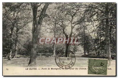Le Havre — Floresta de Montgeon, o Cruzeiro do Caminho