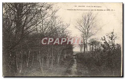 Floresta de Montgeon — Caminho dos Fortins construído pelos Mobiles em 1870 — E. J.