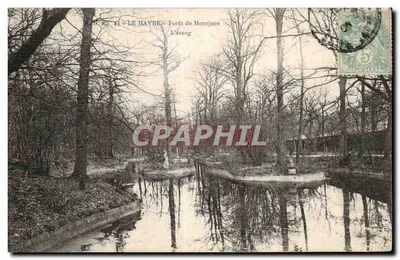 Le Havre - Floresta de Montjeon - O lago