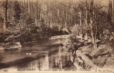 Le Havre — Um belo canto do Bois des Hallates — C. M., Le Havre