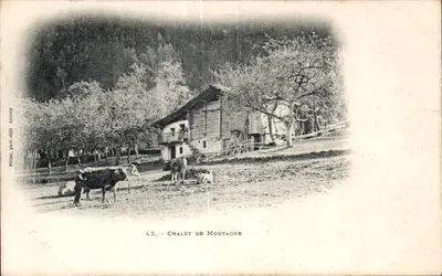 पहाड़ के छोटा घर — संख्या 43 — एडिटर पिटलर, फोटो एनोई