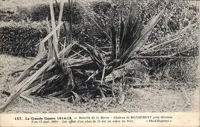 Castelo de MONDEMENT perto de Sézanne — Efeitos de um obus de 75 sobre uma árvore do parque — Phot-Express