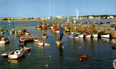 Le Port - Façade du Boulevard F. Garnier — Royan — éditeur M. Berjaud