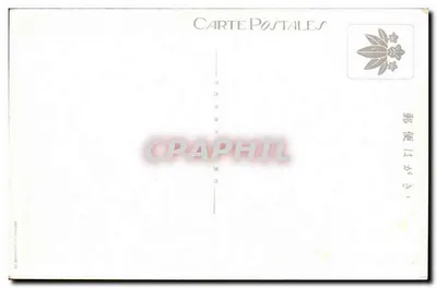 Hotel Nikko-Kanaya e Ponte Sagrada — vista geral — Carta Postal — Verso
