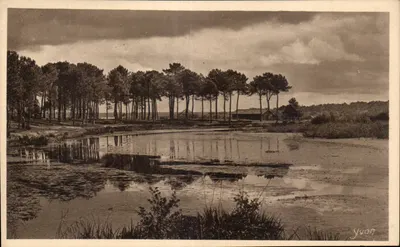 As Landas da Gascogne — Um canto do Lago de Aureilhan, perto de Mimizan — Edição de Arte YIVON, Naully-Perls