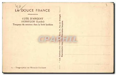 Stado owiec w lasie landyjskim — Hossegor (Landes) — Wydawnictwo Sztuki Yvon — Rewers
