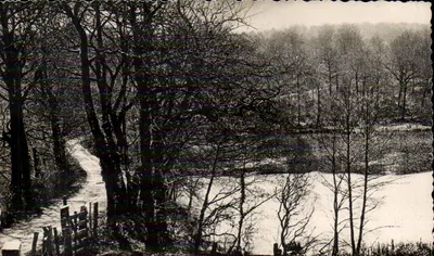 Bilhete postal semimoderno Saint Sever L lago do velho castelo