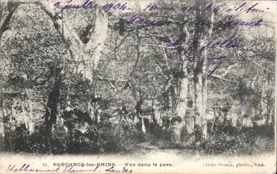 Préchacq-les-Bains — Vista no parque — Cliche Ocaña, foto. Dax