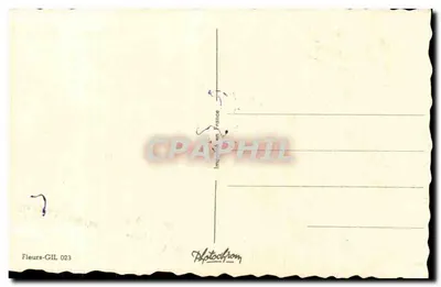 Kwiaty i kopyto — Szczęśliwego urodzin — Kwiaty-GIL 023 — Rewers