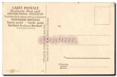 Lily of the Valley — fleurs blanches dans un cadre circulaire — éditeur Trade Mark, n° 524 — Verso