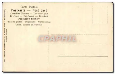 Flores de genévrier e de vide — ilustração botânica — Martin Kommer & Co. Stuttgart — Verso