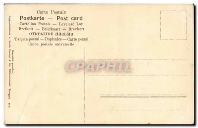 Bouquet de fleurs jaunes — illustration botanique — Union postale universelle, n° 063 — Verso
