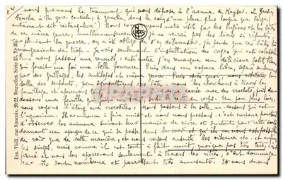 Antwerpen — Rue Leys — wydawca Leus, nr 25 — Rewers