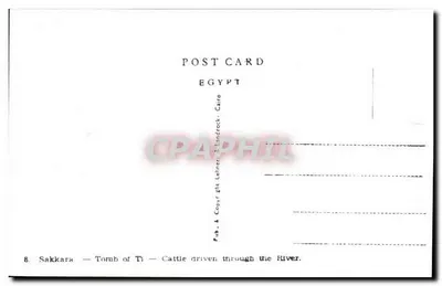Sakkara — Tumba de Ti — Bovinos atravessando o rio — Pub. & Copyright Lehner & Landrock, Cairo — Verso