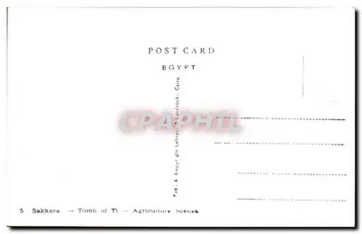 Sakkara — Tumba de T1 — Cenas agrícolas — Pub. & Copyright Lehner & Landrock, Cairo — Verso
