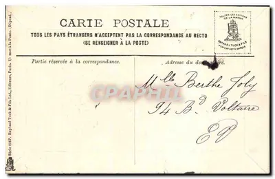 Journaux de Bonheur — Ivy Motif — Publisher Raphael Tuck & Fils — Back