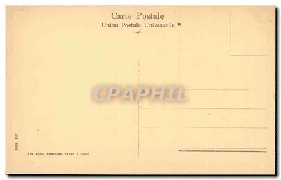 Camelos — Egito — The Cairo Postcard Trust, série BERN 207 — Verso