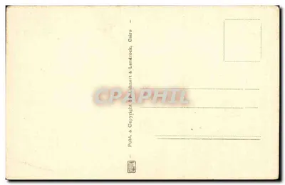 Cairo - Native ploughing the field — editor Lahnert & Landrock, n° 11530 — Verso