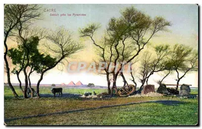 Kair — Sekieh blisko piramid — Cal 225