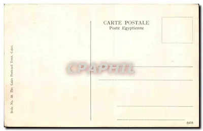 Egito — Carneiro e pastor diante de ruínas — The Cairo Postcard Trust, série 18 — Verso