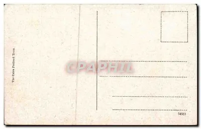 Kair — Twierdza — The Cairo Postcard Trust — Rewers