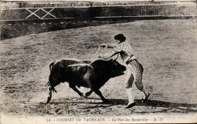 Corridas de touros - A colocação das banderilhas - M. D.