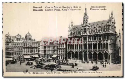 Bruxelas Grand'Place — Casa do Rei e Mercado das Flores — Fototipia A. Dolignon, Bruxelas, n°75