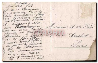 Cartolina d'epoca Fantasia Fiori Gabbiani Lillà — Verso