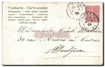 Pássaros em fio — buquê de rosa e flores azuis — Série 176, editor M. Bérandt — Verso