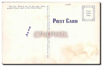Lago das Lírios e Casa de Hospitalidade — Parque Balboa, San Diego, Califórnia — 62 — Verso