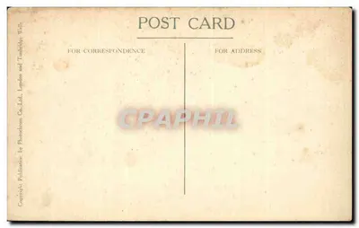 W zoo — Akwarium — Wydawnictwo Wells, London and Tunbridge Wells Co. Ltd. n°70354 — Rewers