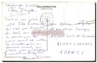 Boi dos Highlands — Editor COLOURMASTER INTERNATIONAL — n° PT36527 — Verso