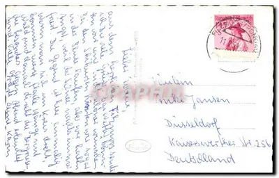 Wintersportplatz FILZMOOS im Pongau, Salzburg — Pilzgut mit Bischofsmütze — n°440 — Rewers