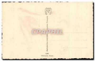 Ciclaminas — flores violetas — Fabricação Francesa n°1480 — Verso