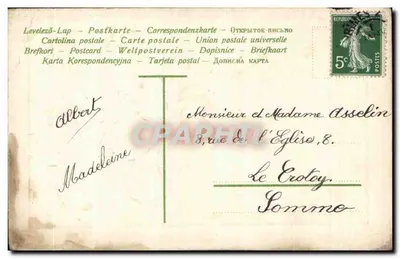 Fioletowe kwiaty — Szczęśliwy rok — Uniwersalna kartka pocztowa — Rewers