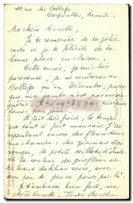 Białe Nymphéas — Nymphéa białe — wydawca Carfata, n° 2040 — Rewers