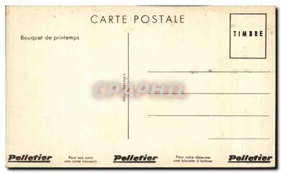 Arranjo de primavera — Pelletier, Paris — número de série não visível — Verso