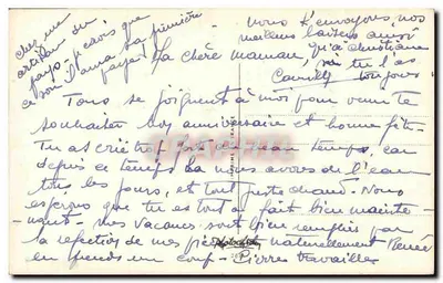Fleurs sauvages — bouquet de pissenlits, pensées bleues, coquelicots et perce-neige — éditeur S. Bonelli — Rewers
