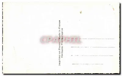 Bukiet margotek — wydawca ARS, nr 7980 — Rewers