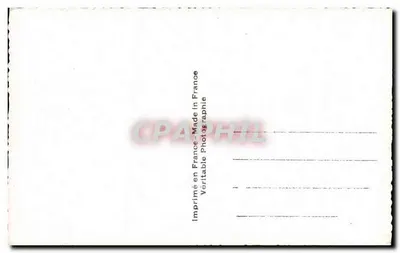Bukiet margaretek — ARS 7930 — ARS — Rewers