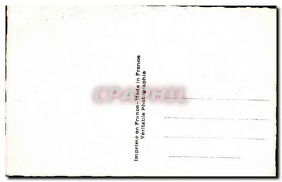 Paarse anemonen — ARS 7927 — ARS — Achterkant